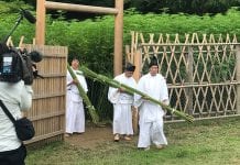 Cannabis, hemp, CBD: the Japanese cannabis landscape