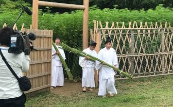 Cannabis, hemp, CBD: the Japanese cannabis landscape