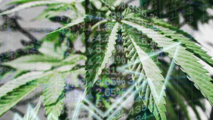 The future of medical cannabis: regulation, capital raising, and investments