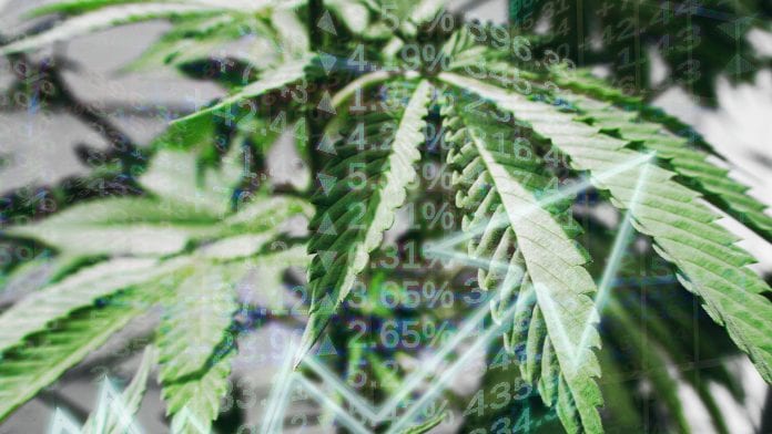 © iStock/Darren415 The future of medical cannabis: regulation, capital raising, and investments