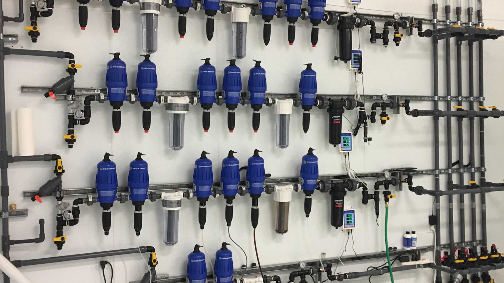 The value of pre-licensing cannabis cultivation space programming