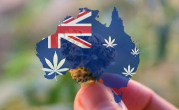 LeafCann secures cannabis import licence from Australian Government