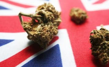 UK regulatory landscape: import and export of medical cannabis