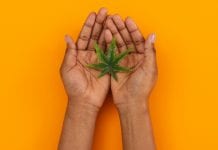 People of colour must be represented across the cannabis industry
