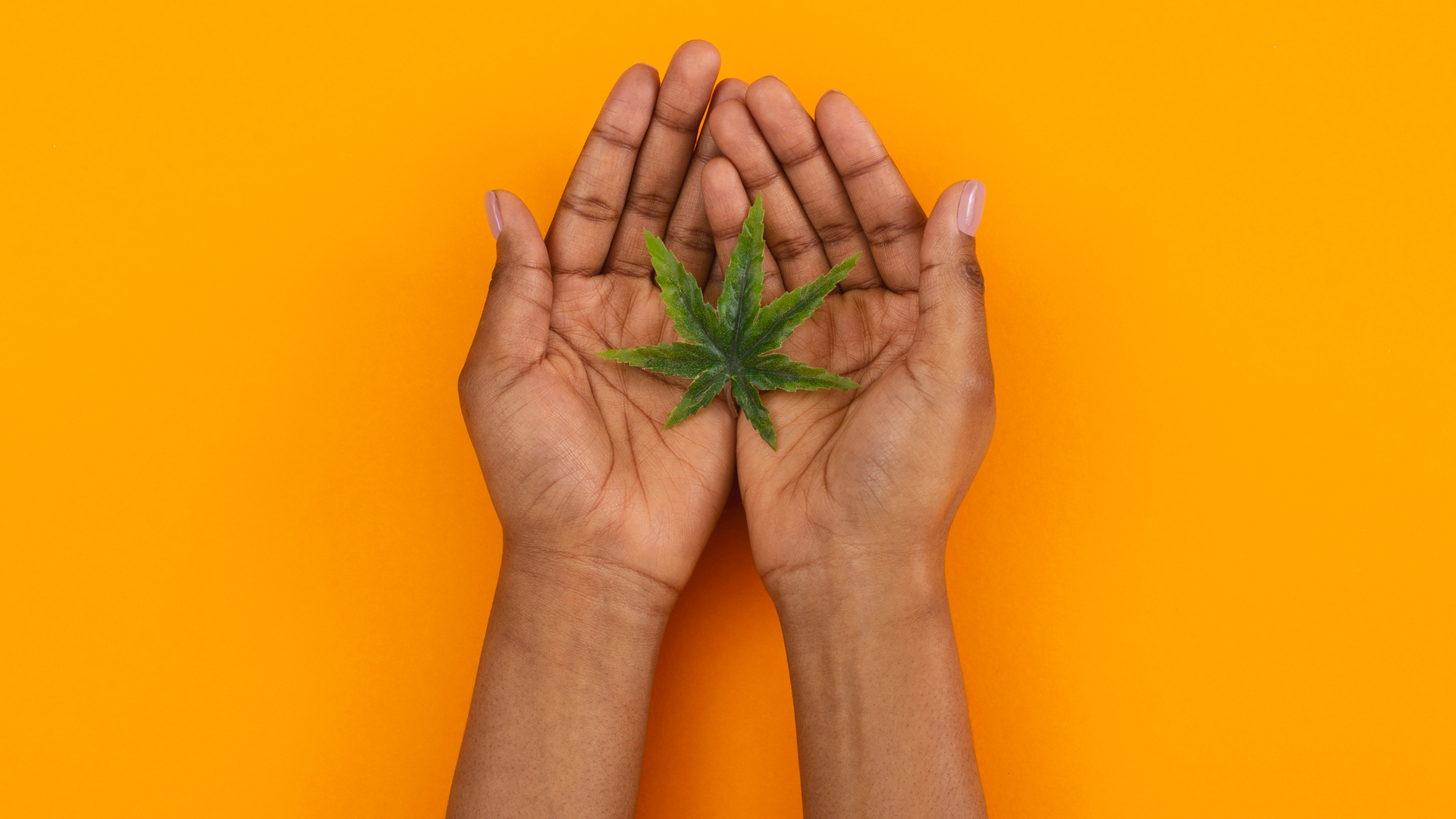 People of colour must be represented across the cannabis industry