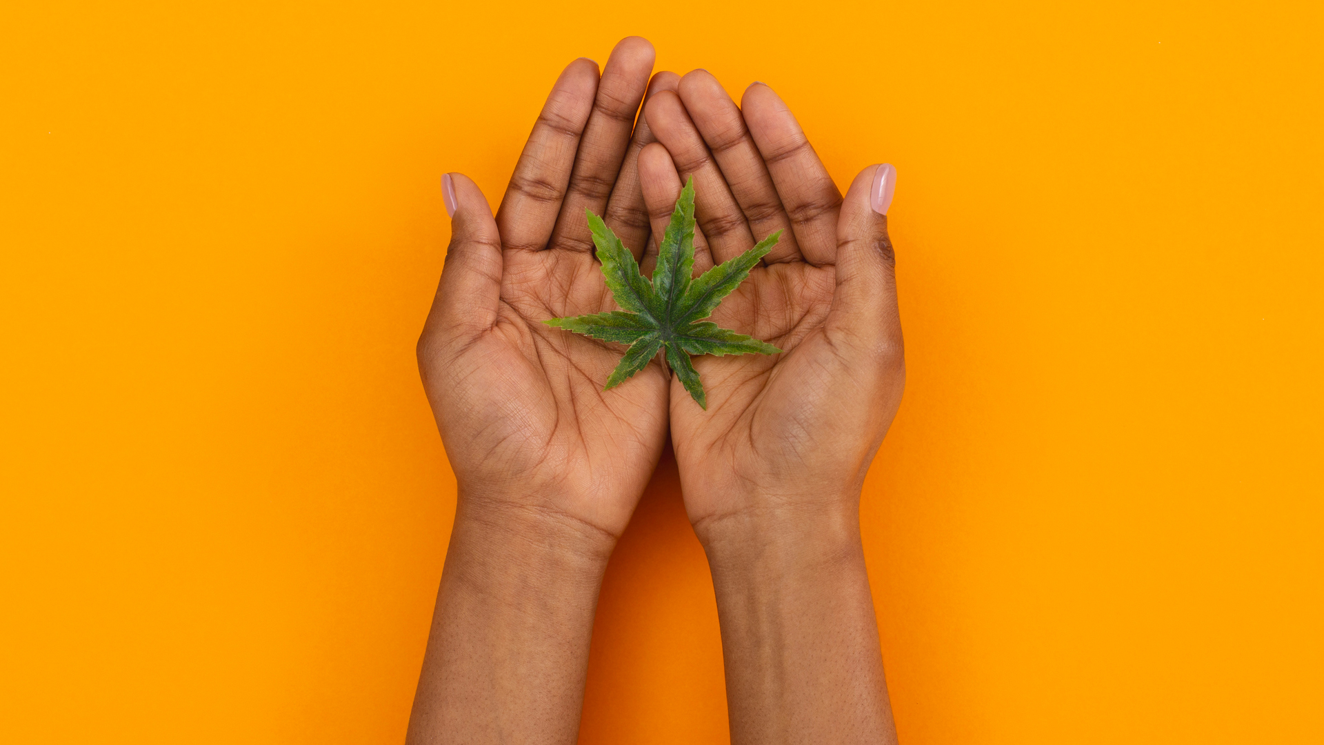 People of colour must be represented across the cannabis industry