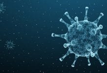 Discovery in groundbreaking study could stop COVID-19 in its tracks Discovery in groundbreaking study could stop COVID-19 in its tracks