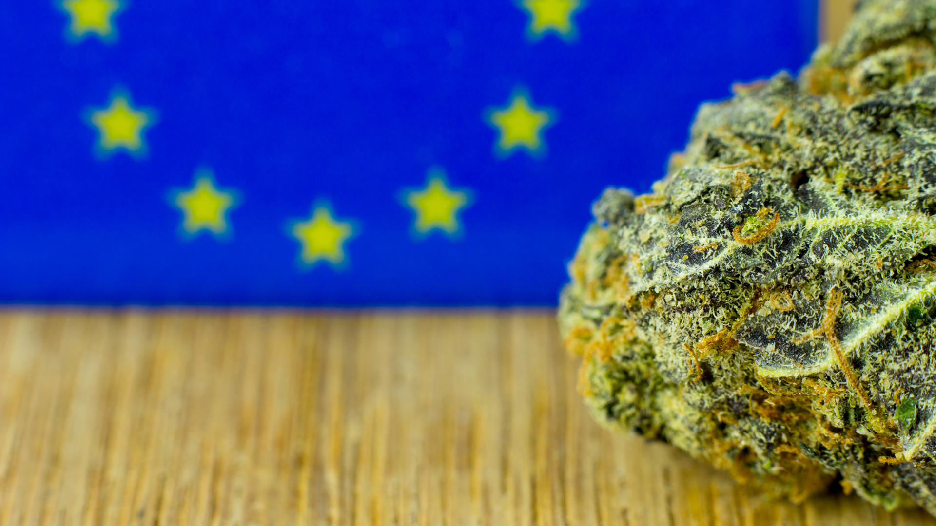 Hemp and Novel Foods in Europe