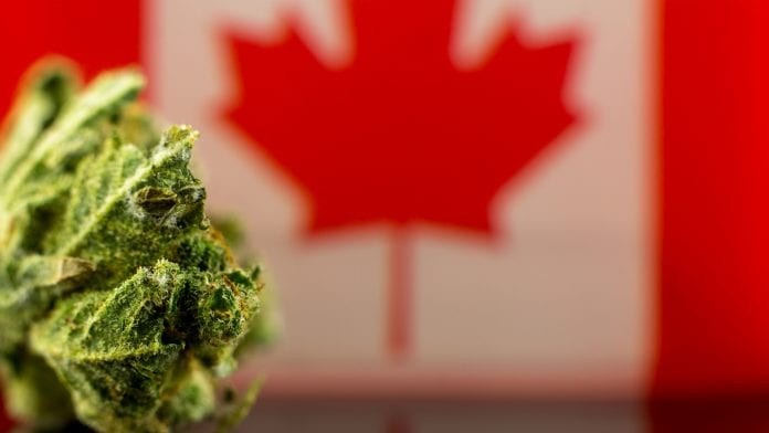 Canadian legal medical cannabis system forcing patients to self-medicate