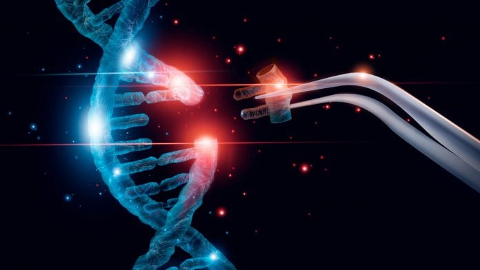 Is CRISPR gene therapy for rare Angelman Syndrome on the horizon?