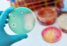 MEPs call for Pharmaceutical Strategy to tackle antimicrobial resistance