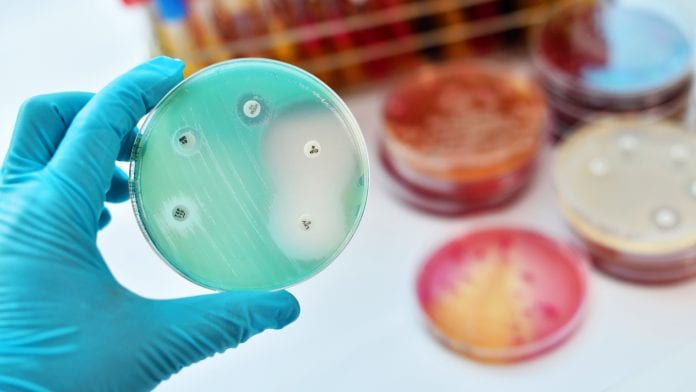 MEPs call for Pharmaceutical Strategy to tackle antimicrobial resistance