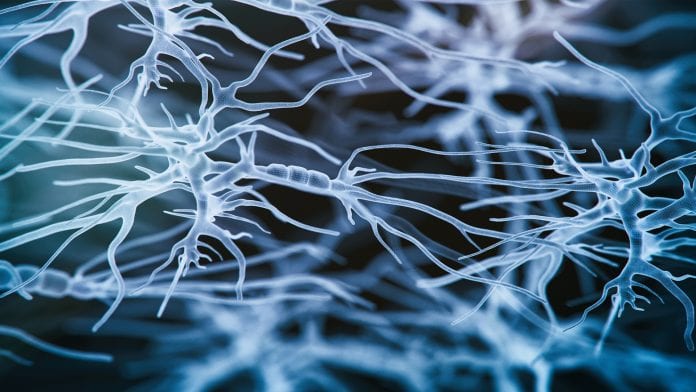 Researchers find better way to repair damaged nerve insulation