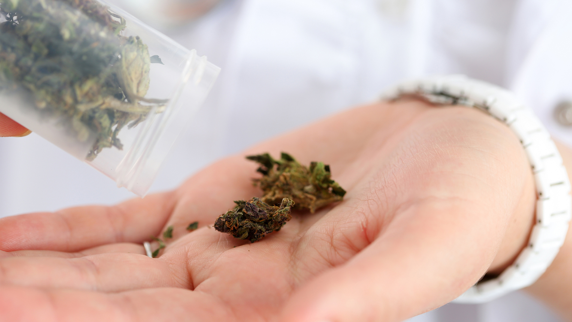 Medical Cannabis Awareness Week: calls for NHS prescriptions