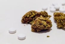 How can medical cannabis help the UK’s chronic pain problem?