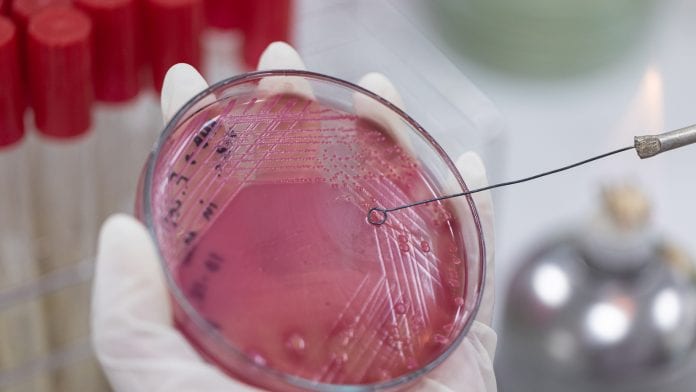© iStock/Sinhyu Global leaders advocate urgent action on antimicrobial resistance