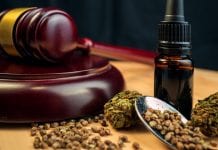 EU court rules CBD is ‘not a narcotic’