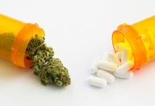 Can cannabis provide an alternative to opioid painkillers in the UK?