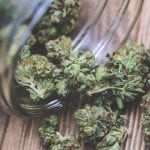 Cancard: UK medical cannabis card launches today