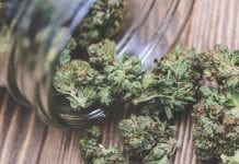 Cancard: UK medical cannabis card launched today Cancard: UK medical cannabis card launches today