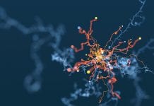 AI in healthcare: navigating uncharted territory AI in healthcare: navigating uncharted territory