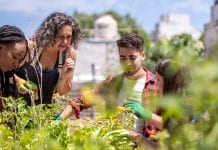 Supporting people and communities through social prescribing Supporting people and communities through social prescribing