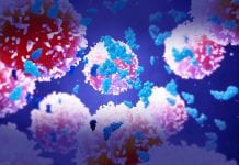 Transforming histopathology with digital screening histopathology