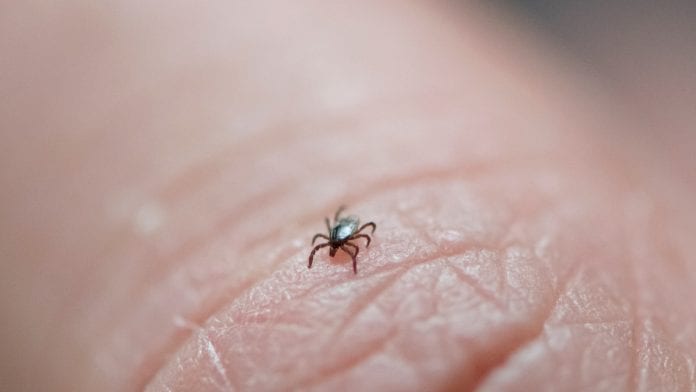 New study shows Lyme disease alters immune system