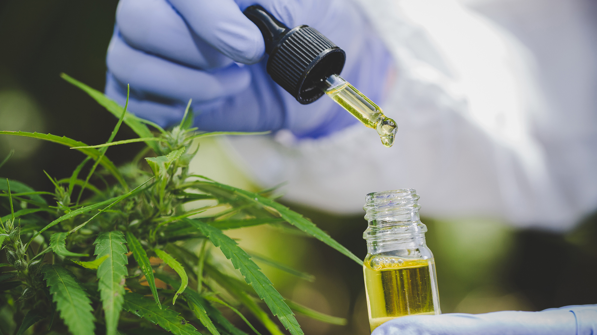 Innovation in THC Remediation