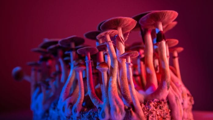 UK’s first investment fund dedicated to psychedelic healthcare