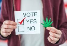 House of Representatives votes to decriminalise cannabis at federal level