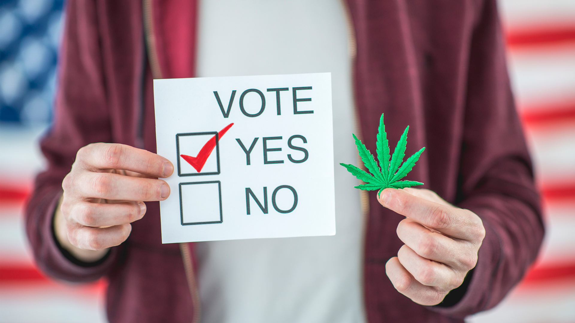 House of Representatives votes to decriminalise cannabis at federal level