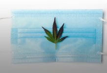 Cannabis and COVID-19 patients: new insights from Israel Cannabis and COVID-19