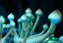 XPhyto: A leader in innovating psychedelic drugs