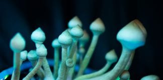XPhyto: A leader in innovating psychedelic drugs