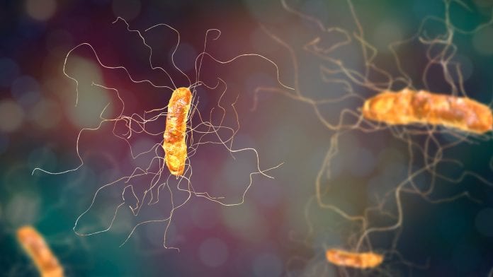 Investigating bacteria behind hospital infections with SMART Designs Tool