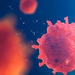 Variability in T cells response to COVID-19 could offer clues to immunity