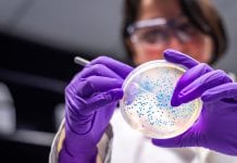 New Oxford University institute to fight antimicrobial resistance