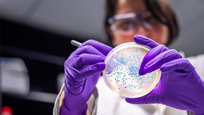 New Oxford University institute to fight antimicrobial resistance