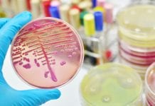 First global resolution on meningitis prevention and control First global resolution on meningitis prevention and control