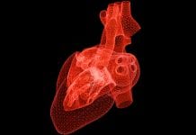 Scientists create most detailed 3D scan of congenital heart disease