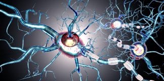 New therapeutic target for Huntington’s disease treatment