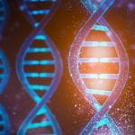 Researchers identify rare genetic syndrome caused by gene mutations