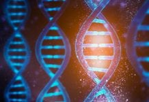 Researchers identify rare genetic syndrome caused by gene mutations Researchers identify rare genetic syndrome caused by gene mutations