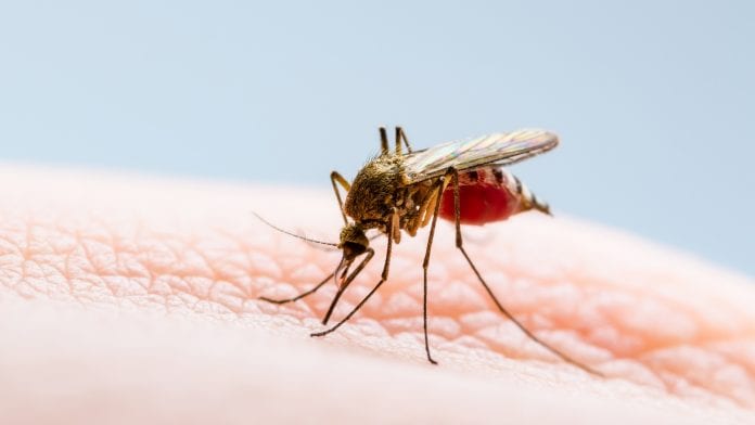 UK institutions receive £2.3m grant for research of tropical diseases
