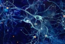 New approach to creating Alzheimer’s drugs helps identify potential treatments alzheimer's drugs