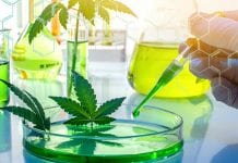 Medicinal cannabis policy and research in Europe