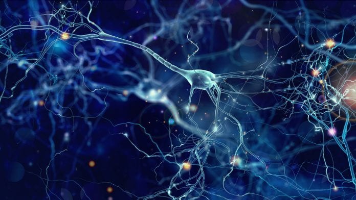 Uncovered mechanism may provide new therapeutic strategy for epilepsy