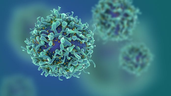 T cells key to severity of COVID-19 outcomes