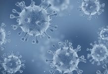 Those with prior COVID-19 infection have boosted immune response Those with prior COVID-19 infection have boosted immune response